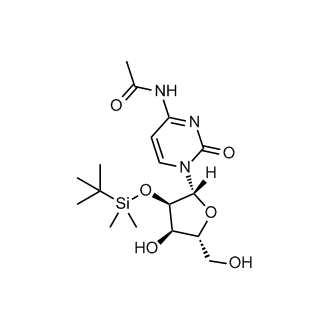 小核酸药物